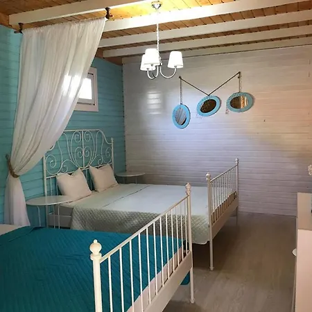 Vila Viorica