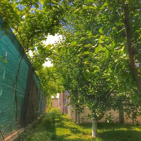 Quarto em Acomodações Particulares Vila Viorica Năvodari