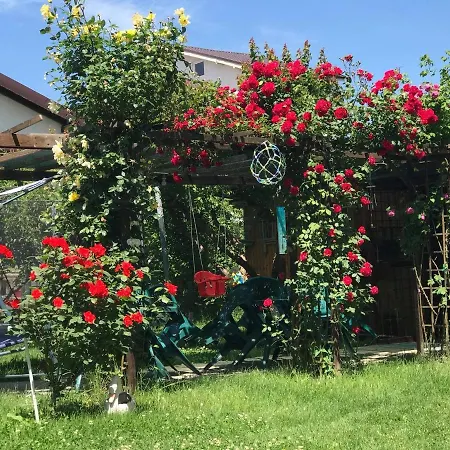 Vila Viorica * Năvodari