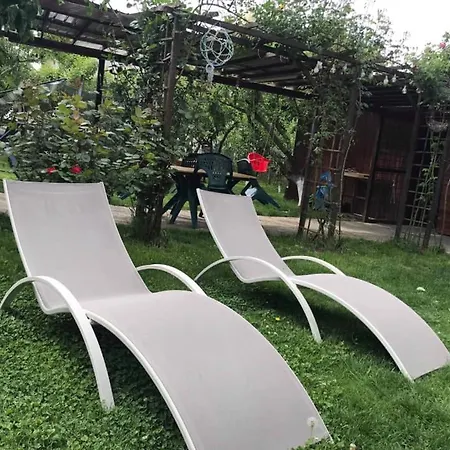 Vila Viorica * Năvodari