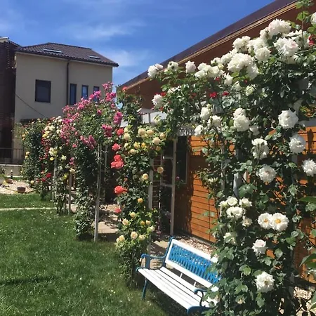 Vila Viorica Accommodatie bij particulieren