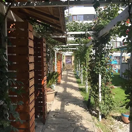 Accommodatie bij particulieren Vila Viorica