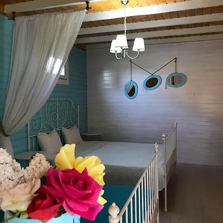 Vila Viorica * Năvodari