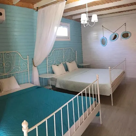 Vila Viorica