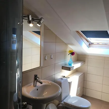 Vila Viorica Accommodatie bij particulieren Năvodari